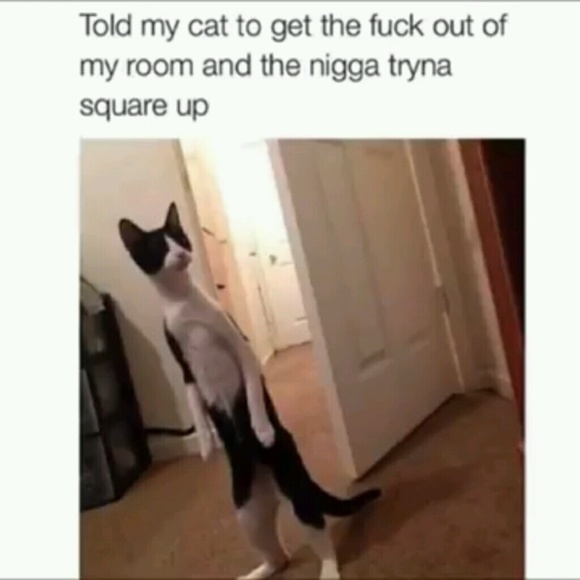 Meet your Posher, Enoc - Picture 1 of 1